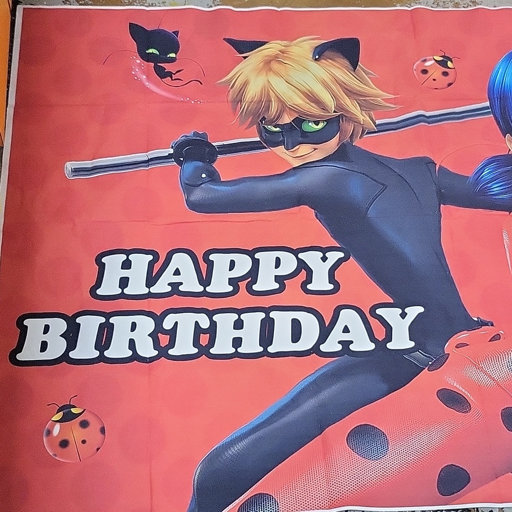 Ladybug Bday banner xlarge